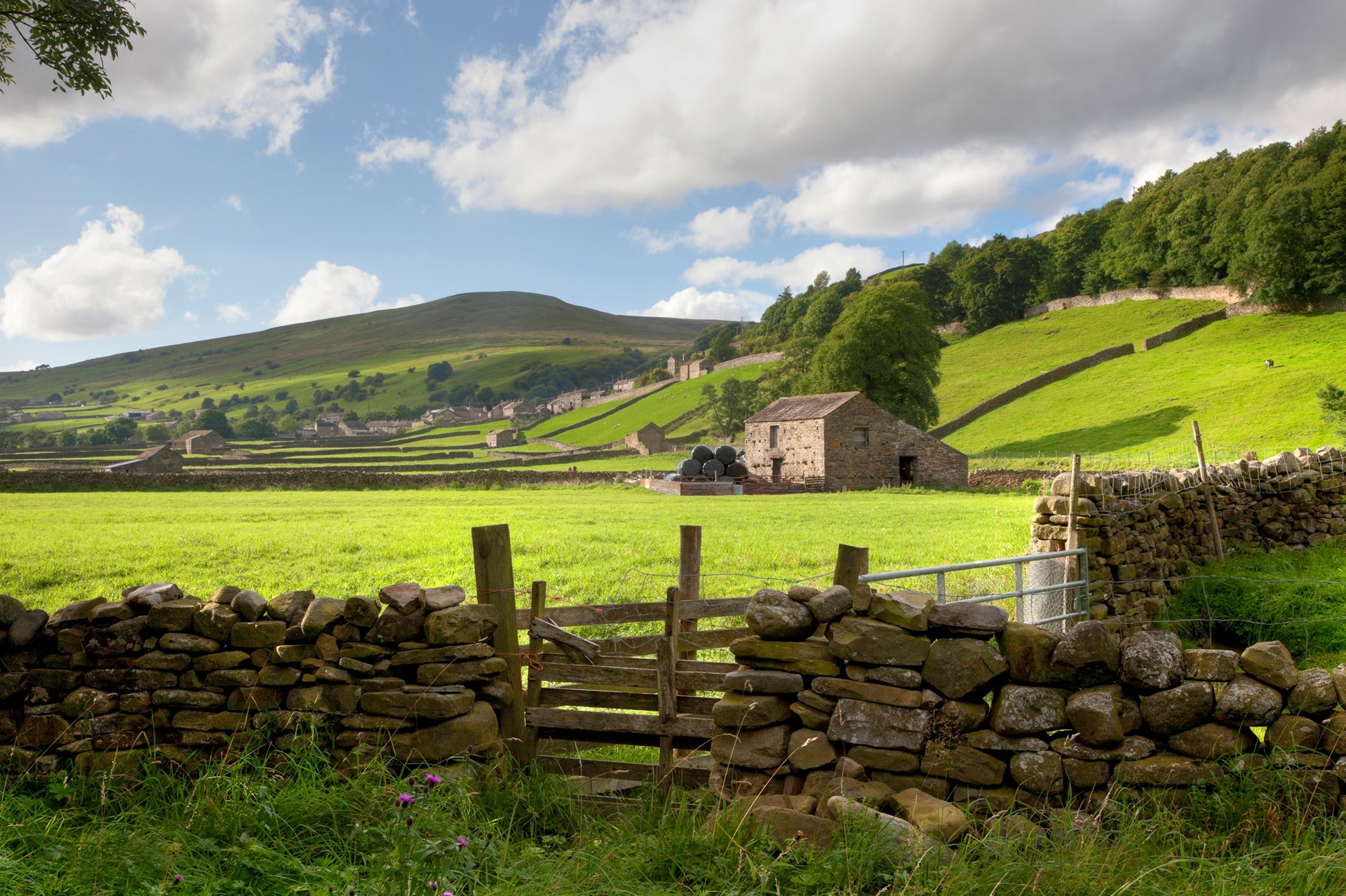 UK Farm