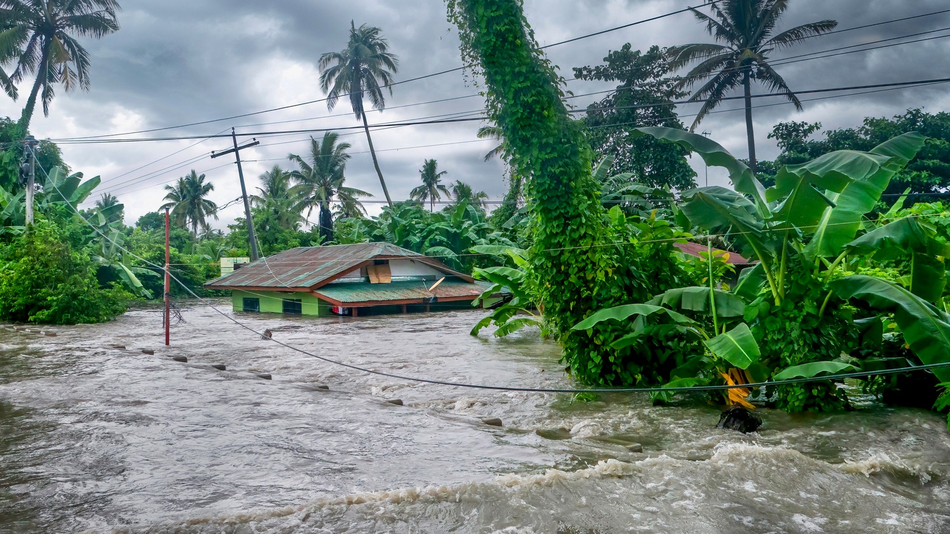 Global Flooding
