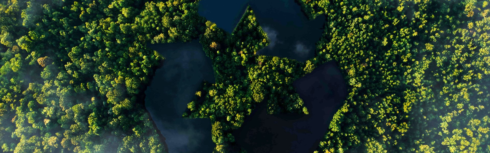 Beautiful Green Forest With A Lake And A Recycling 2026 03 15 23 22 29 Utc (2) (2)