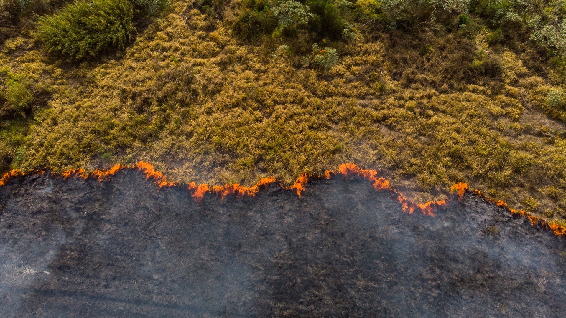 Global Emissions Report