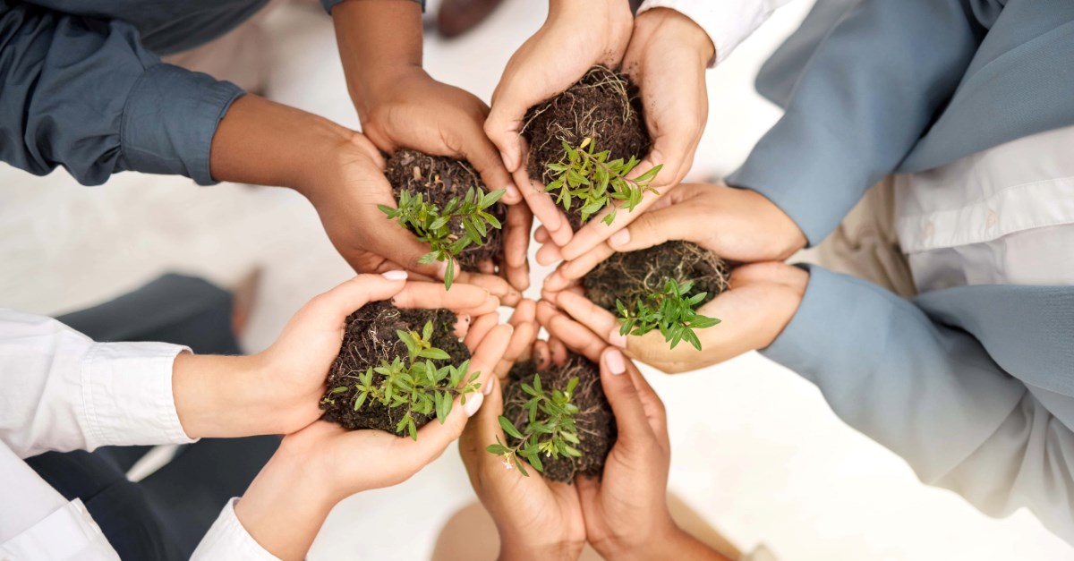 Teamwork Environment And Plant With Hands Of Busi 2026 03 25 02 19 49 Utc (1) (1)